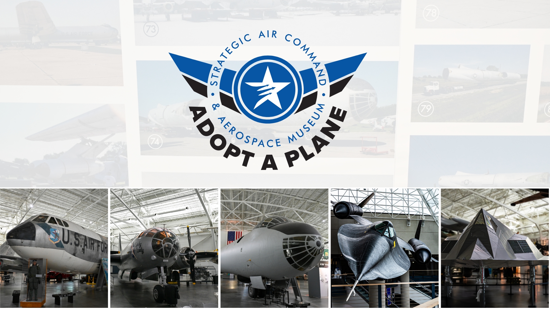 Adopt a plane